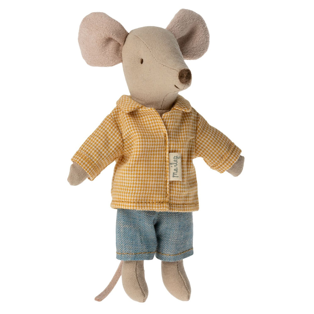 Big Brother Mouse in Box image 1