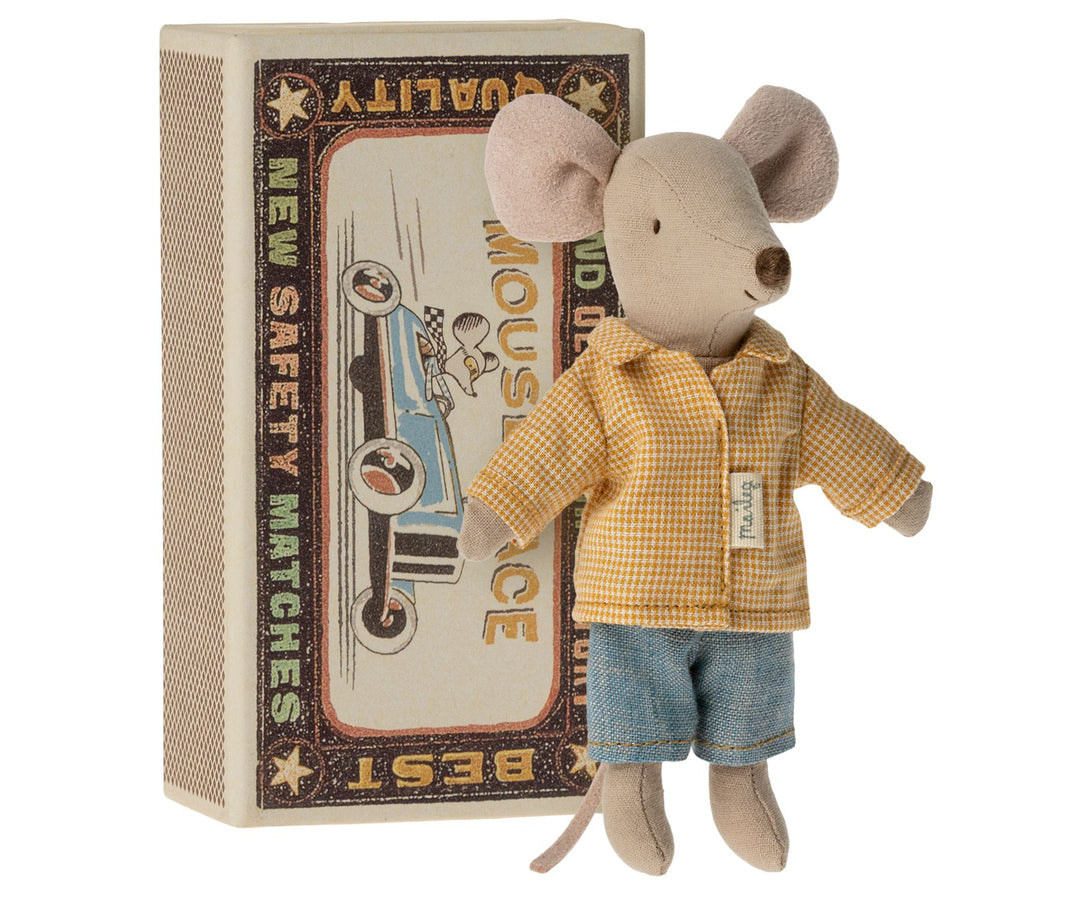 Big Brother Mouse in Box image 0