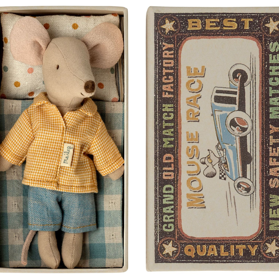 Big Brother Mouse in Box image 2